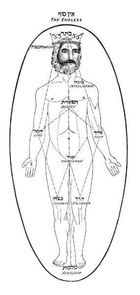 File:Adamtree.jpg